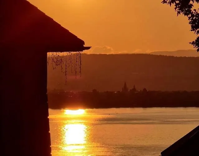 Restaurant Riva 2* Veyrier-du-Lac